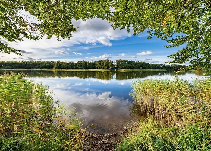 Nordlicht - Modernes, Haustierfreundliches Für 4 Personen Apartamento